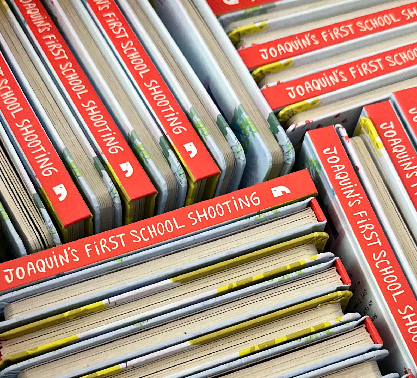 Joaquin's First School Shooting Children's Book